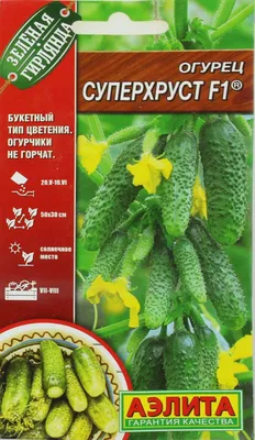 Огурец Гирлянда F1 комнатный семена большой пакет 4 г (ID#2022440910),  цена: 14.90 ₴, купить на Prom.ua