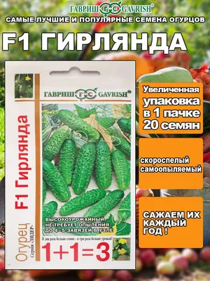 https://ulyanovsk.leroymerlin.ru/product/semena-ovoshchey-ogurec-sibirskaya-girlyanda-f1-89347939/