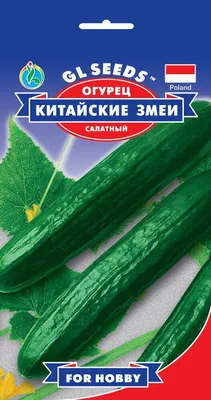 Огурец Китайский змей: описание сорта и особенности выращивания