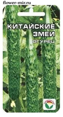 Семена огурец Артикул Китайские змеи 1 уп. - купить в Москве, цены на  Мегамаркет