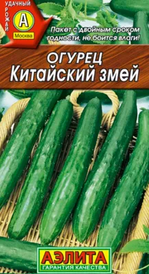 Огурец сортовой Китайские змеи. Краткий обзор, описание характеристик, где  купить семена - YouTube