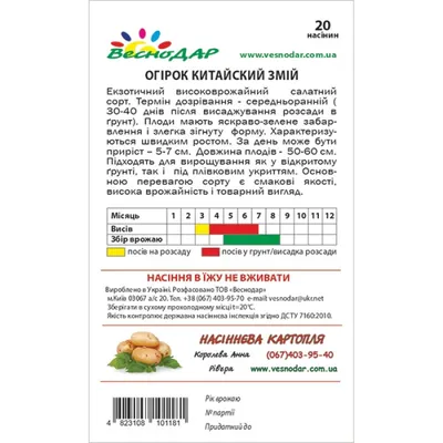 Феномен в пупырышках: почему огурцы дешевеют, когда все дорожает - МК