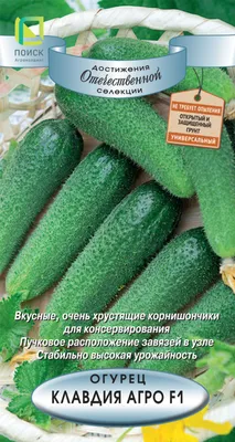 Семена Огурец 'Клавдия', F1, цв/п, 10 шт в Бишкеке купить по ☝доступной  цене в Кыргызстане ▶️ max.kg