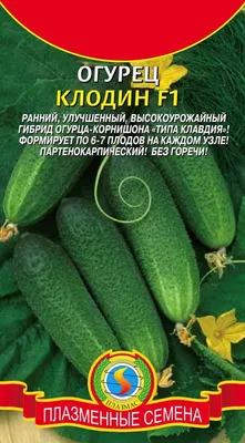 Семена Огурец \"Клавдия\" F1, раннеспелый, партенокарпический, без горечи, 1  пакет, 10 шт — купить в интернет-магазине по низкой цене на Яндекс Маркете