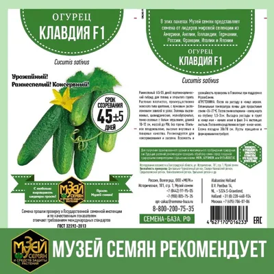 Семена Огурец \"Клавдия F1\", раннеспелый , 10 семян — купить в  интернет-магазине по низкой цене на Яндекс Маркете