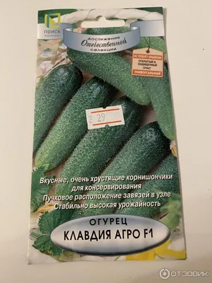 Семена Огурец Клавдия F1, 0,2 гр. СеДек 10835716 купить в интернет-магазине  Wildberries