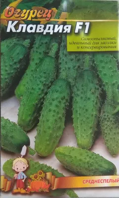 Агрофирма Аэлита Огурец Клавдия F1 (10 семян), 2 пакета