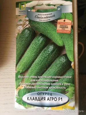 Индетерминантные огурцы - купить семена из питомника с доставкой по Беларуси