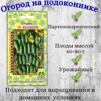 Огурец Колибри (семена) купить по цене 79 ₽ в интернет-магазине KazanExpress