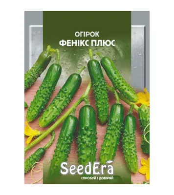 Семена Огурец \"Колибри F1\", 10 семян + Огурец Кураж F1, 10 сем. + 2 Подарка  — купить в интернет-магазине по низкой цене на Яндекс Маркете