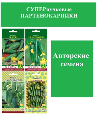 Купить семена Огурец Клауд F1 — от НПО Сады Росcии
