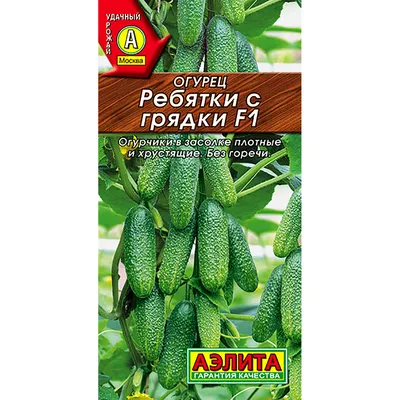 Купить семена Огурец Антисипатор F1 — от НПО Сады Росcии