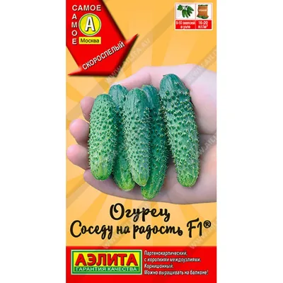 Купить семена огурцов в интернет-магазине Semena.ru с бесплатной доставкой  почтой России