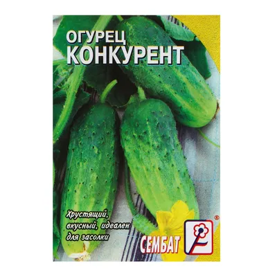 Огурец Конкурент | Ореховый Рай