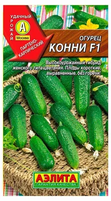 Семена Огурец Geolia «Конни» по цене 27 ₽/шт. купить в Москве в  интернет-магазине Леруа Мерлен