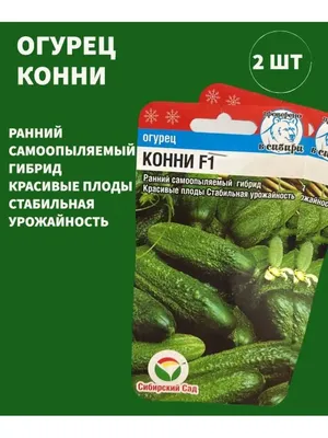 Купить огурец конни f1, 10 шт семян по цене 72 руб. в интернет магазине  \"Первые Семена\"