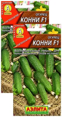 Семена огурца Конни F1, 10 шт/уп, Johnsons - купить в Москве, цены на  Мегамаркет