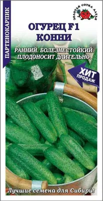 Семена «Огурец Конни F1» 10 шт Детская грядка с бесплатной доставкой на дом  из «ВкусВилл» | Санкт-Петербург