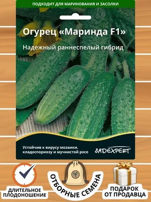 Огурцы Sadexpert Огурец Маринда - купить по выгодным ценам в  интернет-магазине OZON (805458112)