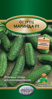 Семена Огурец Маринда F1 (а/ф Уральский Дачник) купить за 35 р. в садовом  центре АСТ Медовое