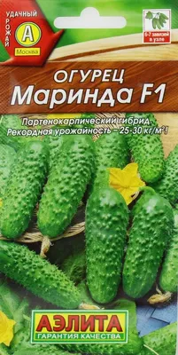 Купить Семена Seminis Огурец Маринда F1, 5 шт (105360) в интернет-магазине  АШАН в Москве и России