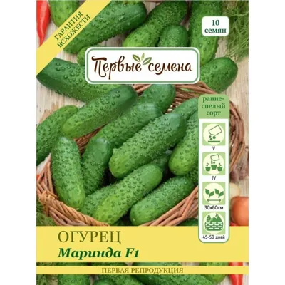 Огурец Маринда F1 Holland 0.25 г (ID#1368425482), цена: 25 ₴, купить на  Prom.ua