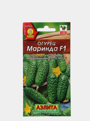 Леда Огурец Маринда 50шт - купить по лучшей цене в Одесской области от  компании \"AGROTEREM\" - 1501341748