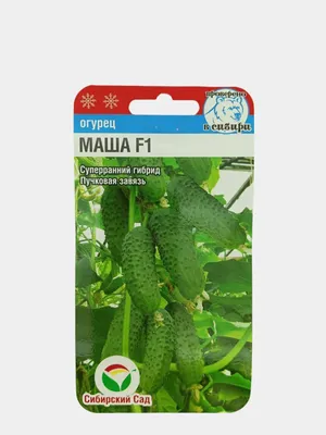 Огурец Маша F1 Holland 0.25 г (ID#1368425483), цена: 25 ₴, купить на Prom.ua