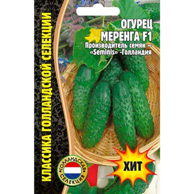 Огурец Меренга F1 (сем. Seminis) 10 шт.