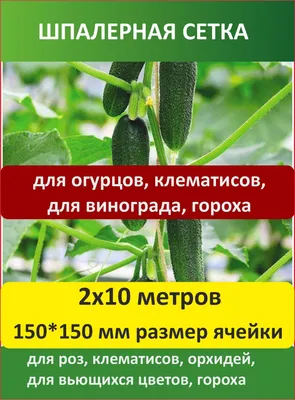 Сетка шпалерная для огурцов Ф-150 (1,7х7м) купить в Смоленске