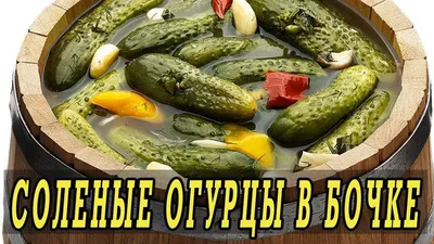 Огурцы в ведре: посадка и выращивание огурцов в ведрах на улице, как  вырастить, лучшие сорта, технология, особенности, советы по уходу - Ортон