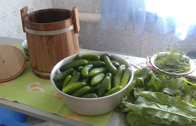 Огурцы в банке» — создано в Шедевруме