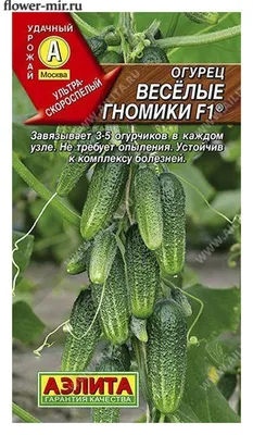 Семена огурец Веселые гномики F1 10шт Аэлита в Москве и области – купить по  низкой цене в интернет-магазине Дарвин