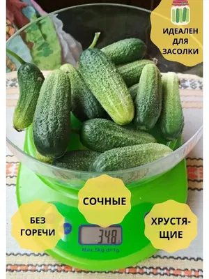 Набор семян Огурцы суперпучок, 5 упаковок — купить в интернет-магазине по  низкой цене на Яндекс Маркете