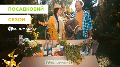 Огурцы семена_огурец_агроэлита - купить по выгодным ценам в  интернет-магазине OZON (1262170015)
