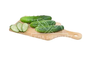 Cucumber Seeds Zozulya F1 0,25g Natural Farmer's Dream Огурец Зозуля F1 -  Etsy Denmark