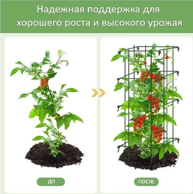 Опора для томатов купить в интернет магазине | Грядка77