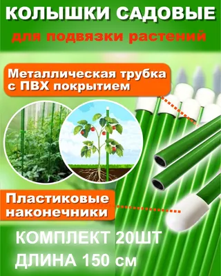 Колышки садовые для подвязки растений 150см (КОМПЛЕКТ 20шт) D7мм  металлические с ПВХ покрытием и ПВХ наконечником. Набор колышек, опора для  помидор, огурцов, вьющихся растений - купить по выгодной цене в  интернет-магазине OZON (