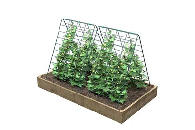Шпалера Огуречник, садовая для огурцов, гороха, опора высокая для растений  - купить по выгодной цене в интернет-магазине OZON (941204941)