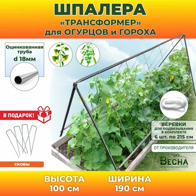 Вырастить огурцы на шпалере в открытом грунте | naidy-garden.ru