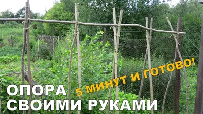 Сетка шпалерная для огурцов Ф-150 (1,7х7м) купить в Смоленске