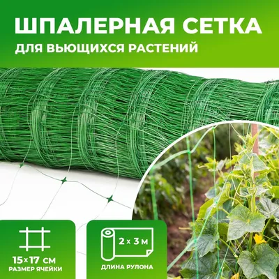 Подушка интерьерная дорожная Огурец 3D cucumber для беременных кормления  мягкая игрушка (ID#1196289935), цена: 999 ₴, купить на Prom.ua