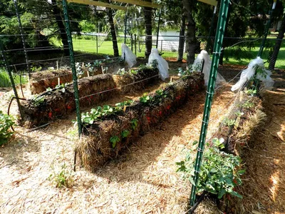 Как Сделать Грядки на Даче Своими Руками | (80+ Фото) | Garten hochbeet,  Hochbeet, Gartendesign ideen