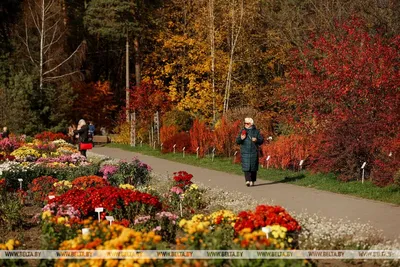 Осень в саду Ракицкого