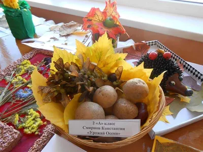 Детские поделки из овощей на тему «Осень». ТОП - 20 идей. Пошаговые  мастер-классы с фото