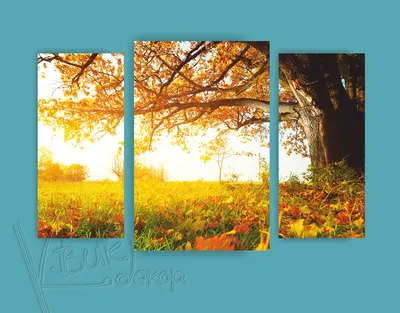 Дуб Листья Осенью - Бесплатное фото на Pixabay - Pixabay