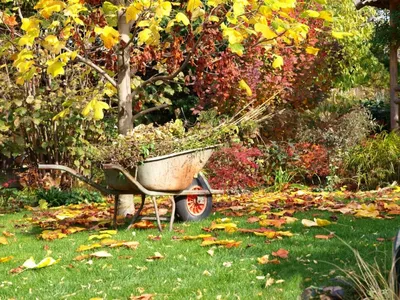 Осенний сад: что сделать осенью? - Журнал Хозяин