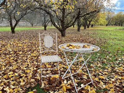 Осенний сад. / Осенний сад. / Фотография на PhotoGeek.ru