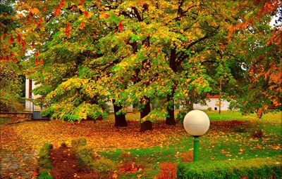 Осенний сад (93 фото) - 93 фото