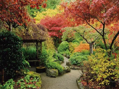 Фотообои Осенний сад на стену. Купить фотообои Осенний сад в  интернет-магазине WallArt